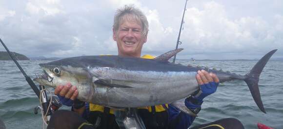 Image of Longtail Tuna