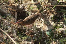 Image of Aztec Rail