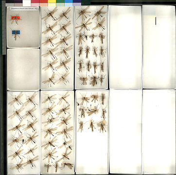 542.8075661199.580x360