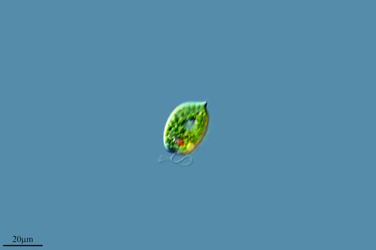 542.9231971195.580x360