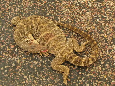 Image of Spencer's Monitor