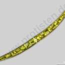 Image of Closterium directum var. directum W. Archer 1862