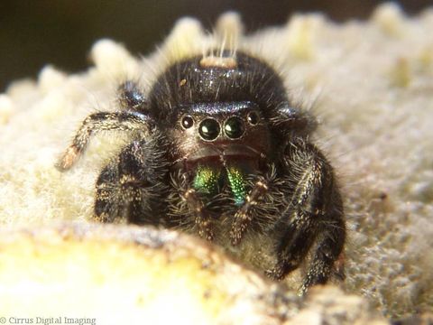 Image of Bold Jumper