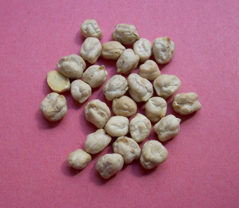 Image of chick pea
