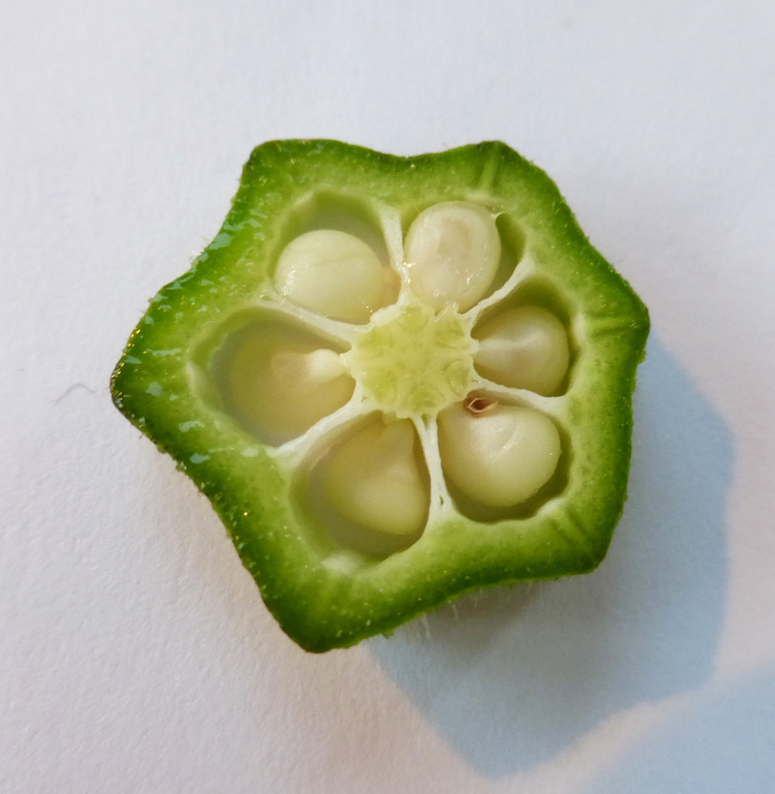 Image of okra