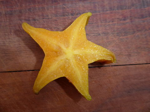 Imagem de Averrhoa carambola L.