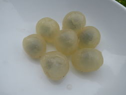 Image of longan