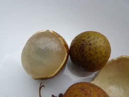 Image of longan