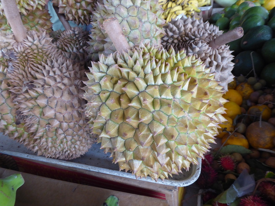 Image of durian