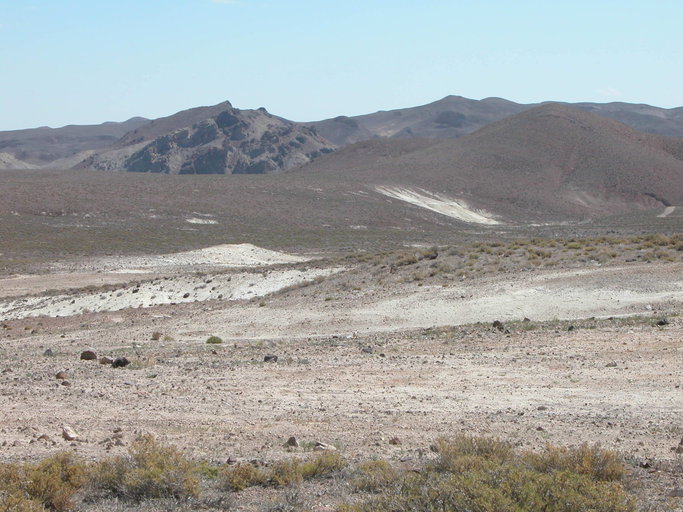 Image of Churchill Narrows buckwheat