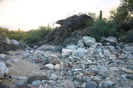 Image of Gila Monster