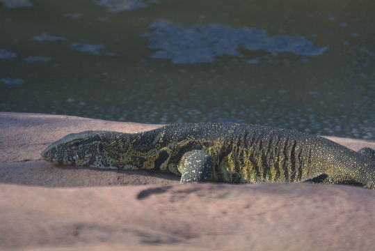 Image of Ornate monitor