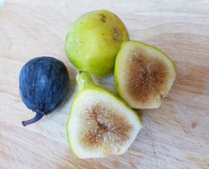 Imagem de Ficus carica L.