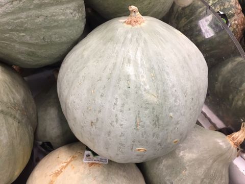 Image of Buttercup Squash