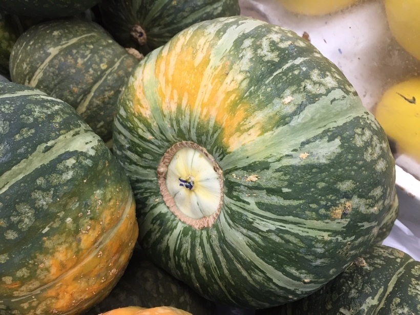 Image of Buttercup Squash