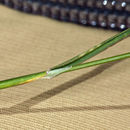 Image of Subalpine Blue Grass