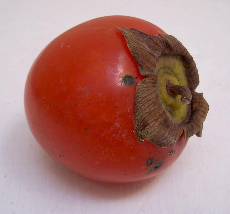 Image of japanese persimmon