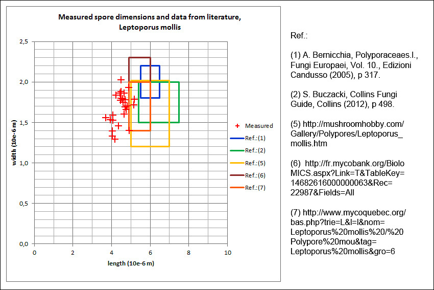 Image of Soft bracket