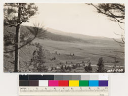 Image of low sagebrush