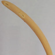 Image of <i>Macrotyphula <i>fistulosa</i></i> var. fistulosa