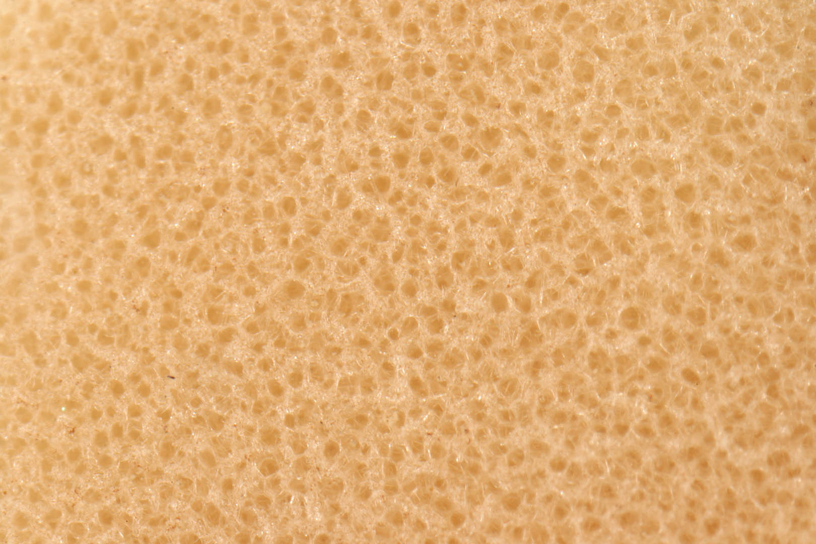 Image of compressed purse sponge