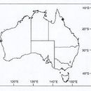 Image de Tuberculosa hoggi (Framenau & Vink 2001)