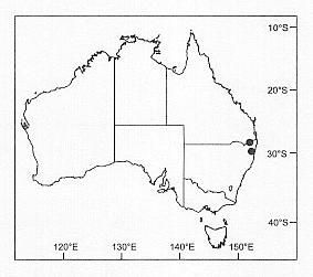 Image of Venatrix allopictiventris Framenau & Vink 2001