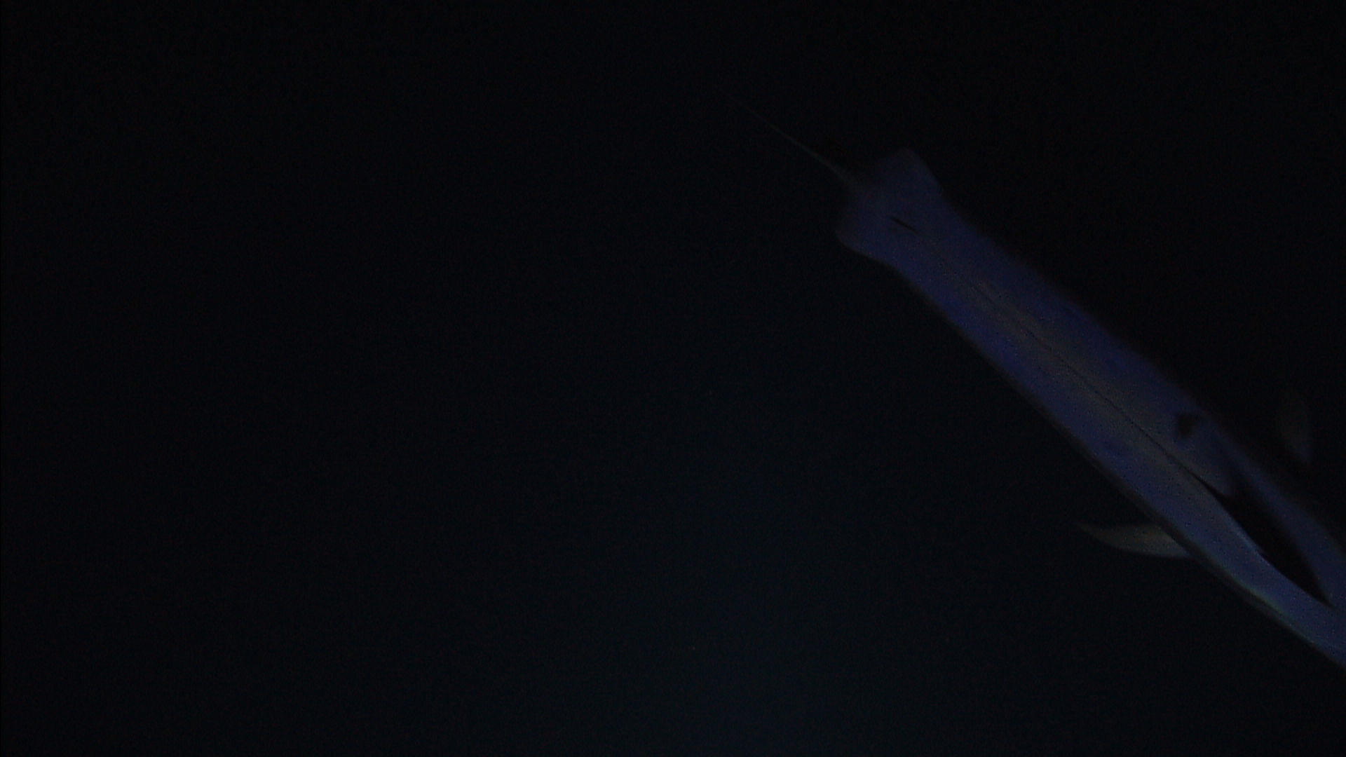 Image of Broadbill Swordfish