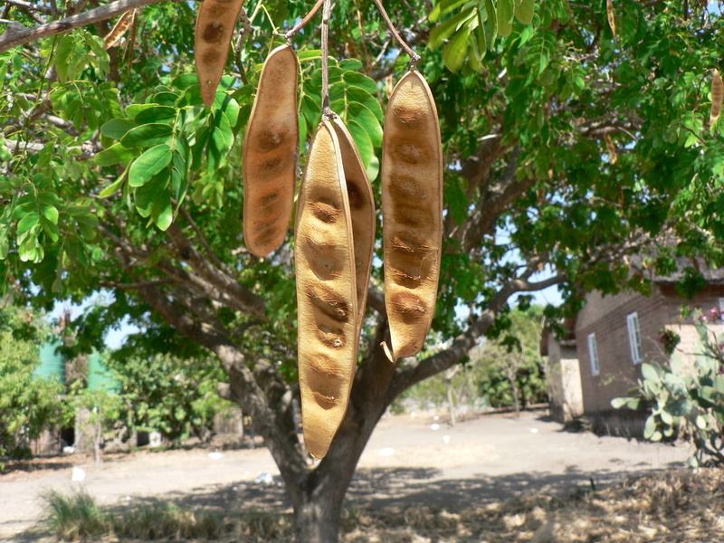 Image of woman's tongue