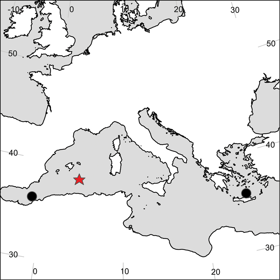 Scopelocheirus polymedus Bellan-Santini 1985的圖片