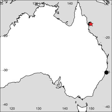 Plancia ëd Paracallisoma zivianii Kilgallen & Lowry 2015