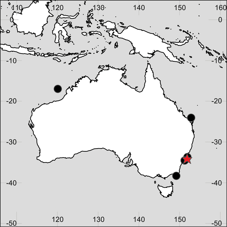 Image of Aroui hamatopodus Lowry & Stoddart 1989