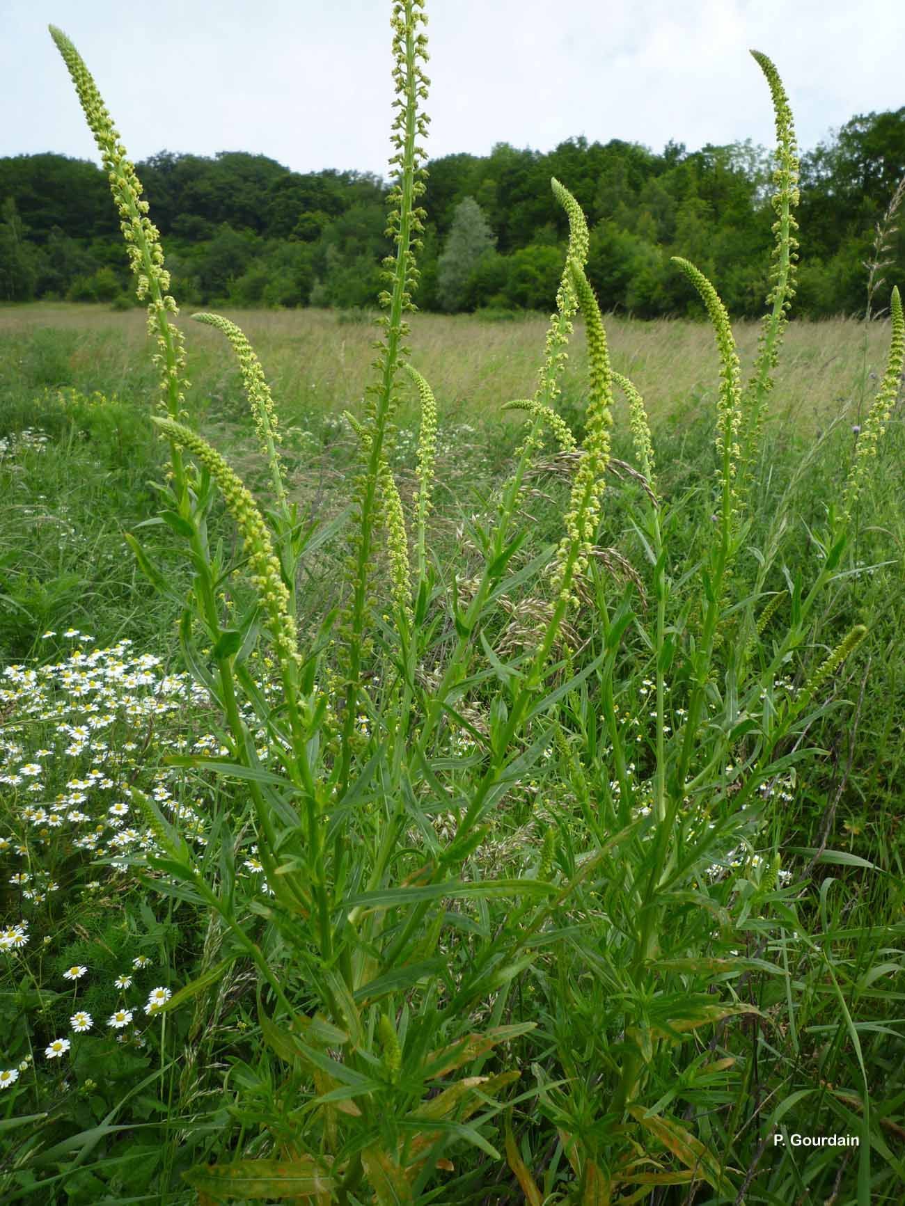 Image of weld