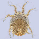 Image of <i><i>Sennertia</i></i> (Sennertia) <i>koptorthosomae</i>