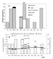 Слика од Niphargus plurispinosus Hudec & Mock 2014