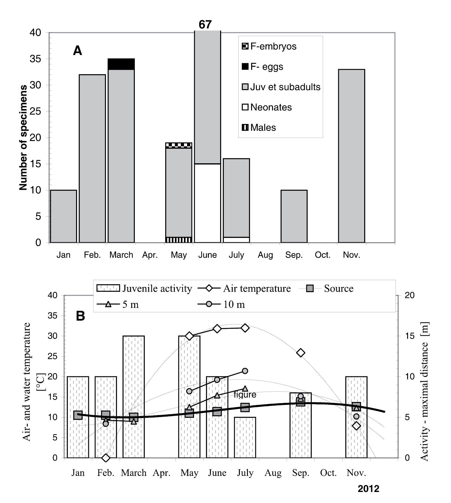 Слика од Niphargus plurispinosus Hudec & Mock 2014