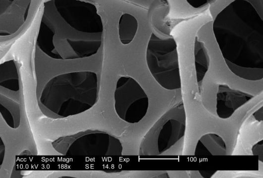 Image of Bacillus anthracis