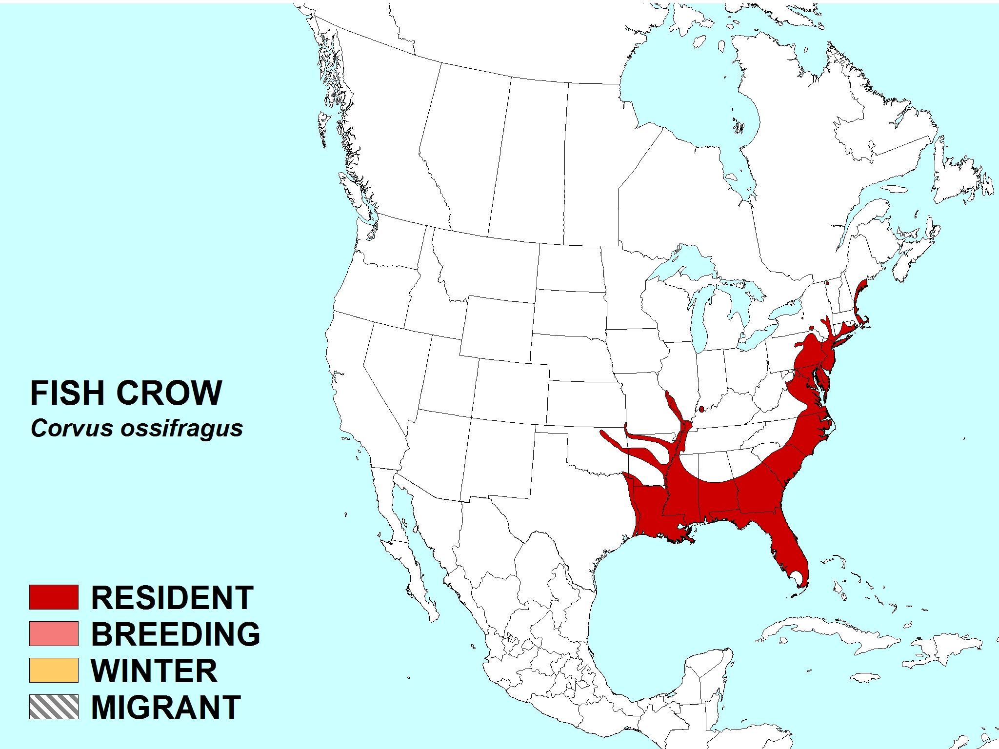 Plancia ëd Corvus ossifragus Wilson & A 1812