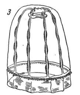 Image of Pantachogon Maas 1893