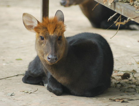 640.collections contributors david blank blackmuntjac.580x360