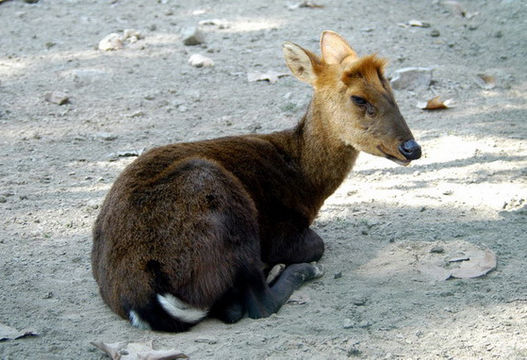 640.collections contributors david blank blackmuntjac11.580x360