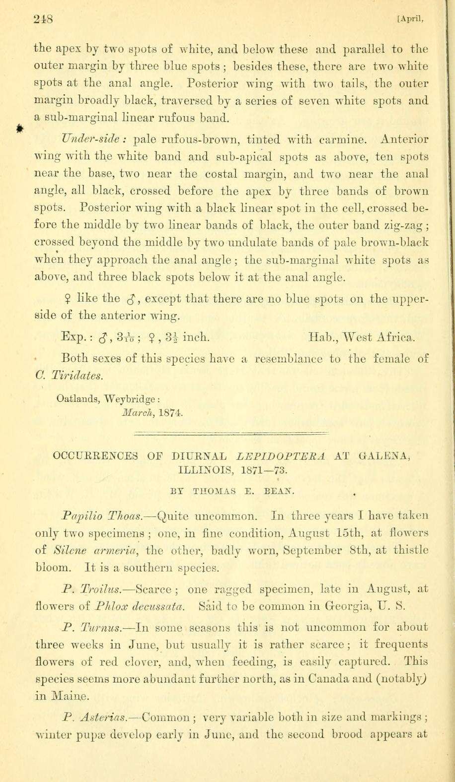 Imagem de Charaxes cedreatis Hewitson 1874