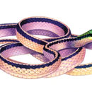 Image of Striped Lowland Snake