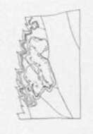 Image of Ectoedemia rubifoliella (Clemens 1860) Wilkinson et al. 1979