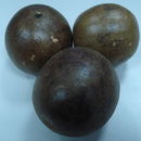 Image of Monk fruit
