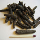 Image of Indian long pepper