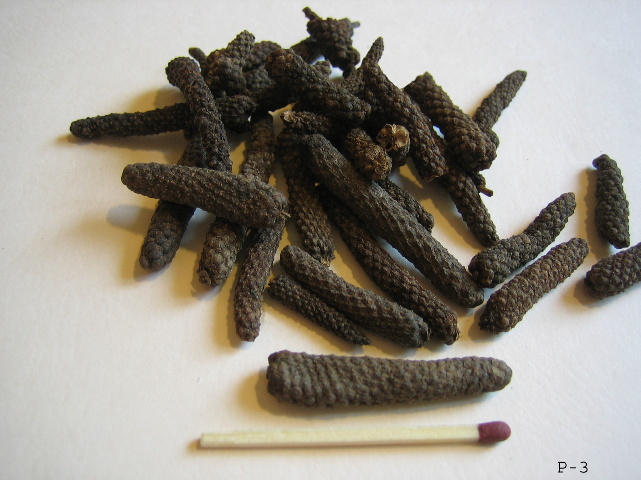 Image of Indian long pepper