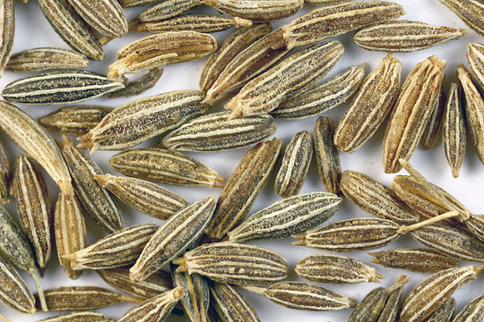 Image of cumin