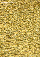 Image of <i>Encope micropora fragilis</i> H. L. Clark 1948