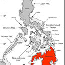 Image of Leptobrachium lumadorum Brown, Siler, Diesmos & Alcala 2010